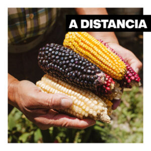 <b>Diplomado</b>  Historia de la alimentación, la cocina y la gastronomía de la Ciudad de México <br><b>Inicio: Próximamente</b>