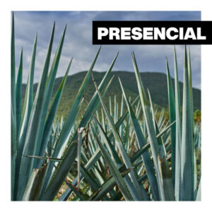 <b>Curso</b> México siglo XX. Arte, cultura, cine, mexicanismos y relajo</b><br><b>Inicio: Junio</b>