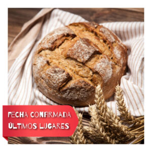 <b>Diplomado</b> Panadería Europea <br><b>Inicio: Octubre</b>
