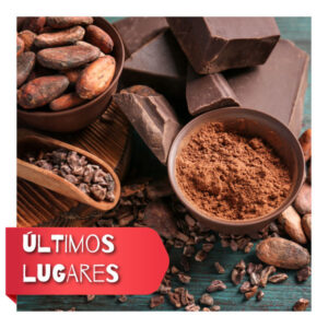 <b>Taller</b> El mundo del chocolate: de la teoría a la barra <br><b>Inicio: Agosto</b>