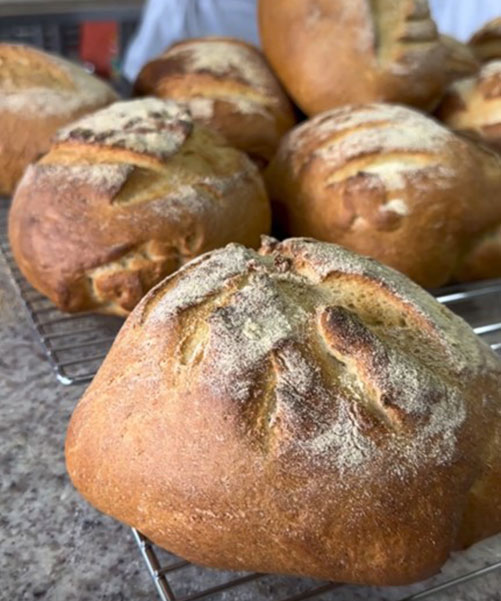Sesión 15 : masas especiales II
Amasado mecánico:
Pane di semola (pan de semolina)